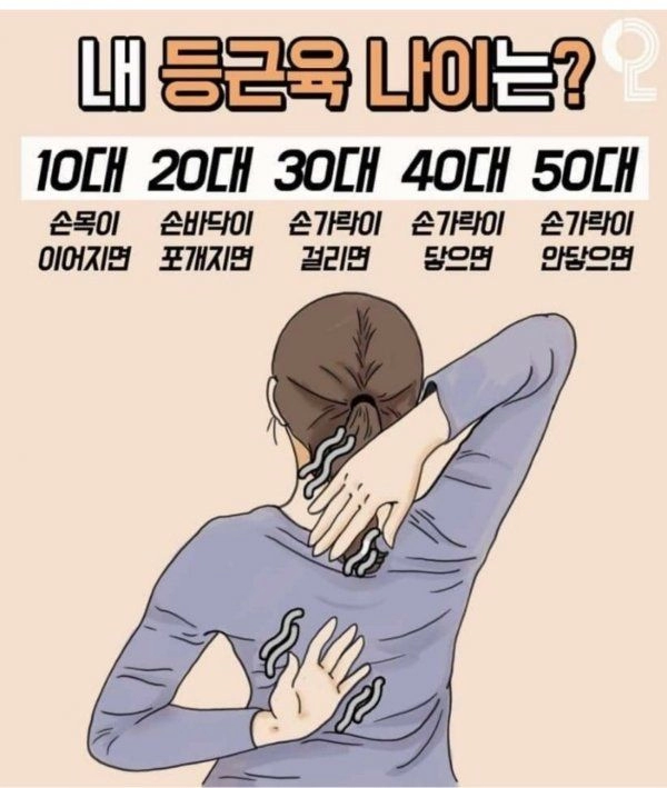 등근육 나이는?