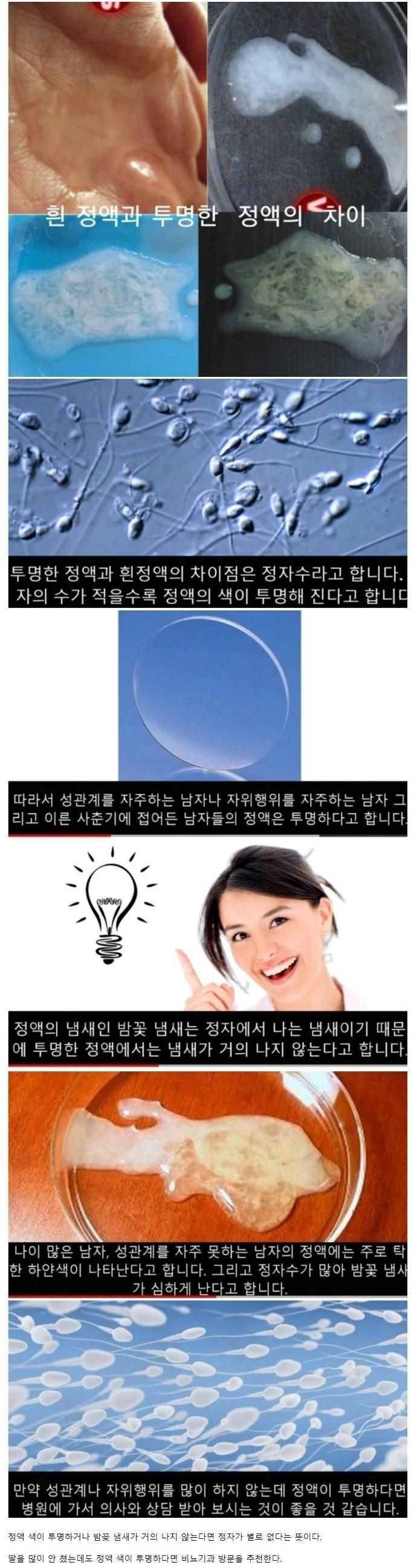 흰 정액과 투명한 정액의 차이