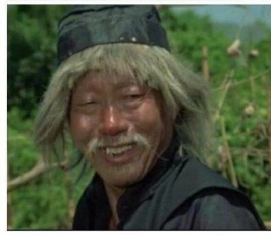 셀프애견 대참사
