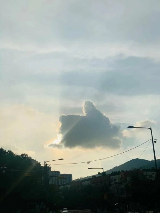 울산에 떴다던 구름