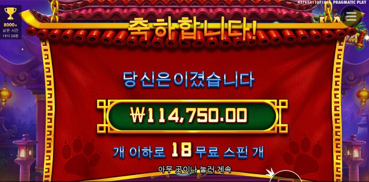 펫 판다 기대한만큼은 안주네
