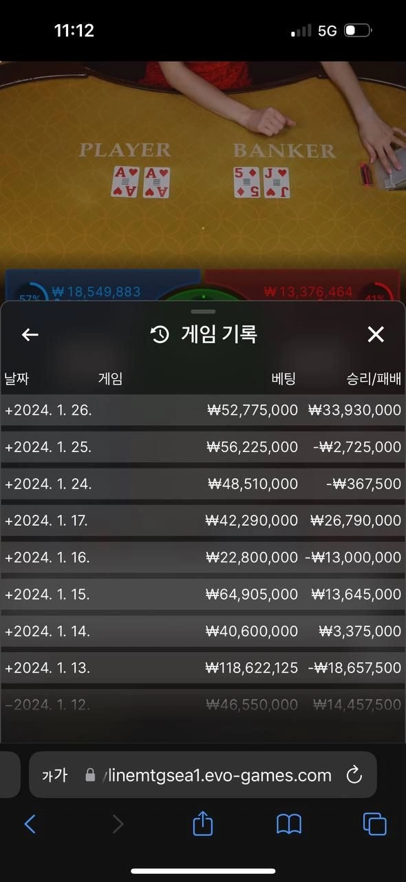 BG BET 먹튀