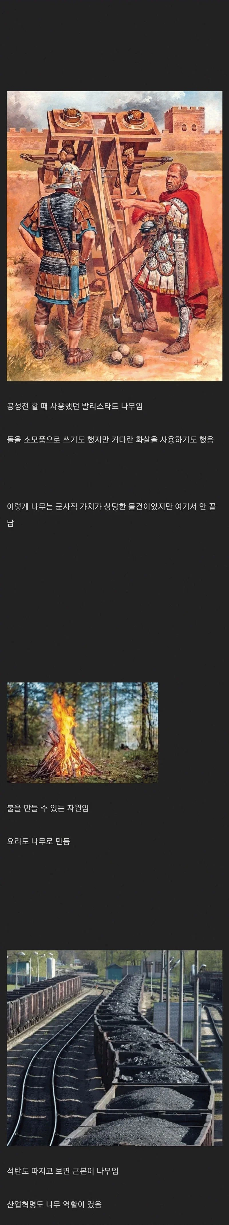 나무가 개사기 자원인 이유