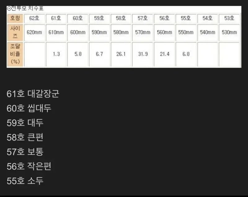 남자들 머리 크기 재는 법 국룰