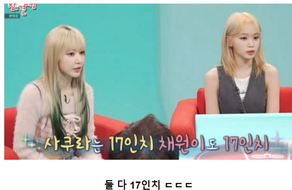 르세라핌 김채원, 사쿠라 허리 근황