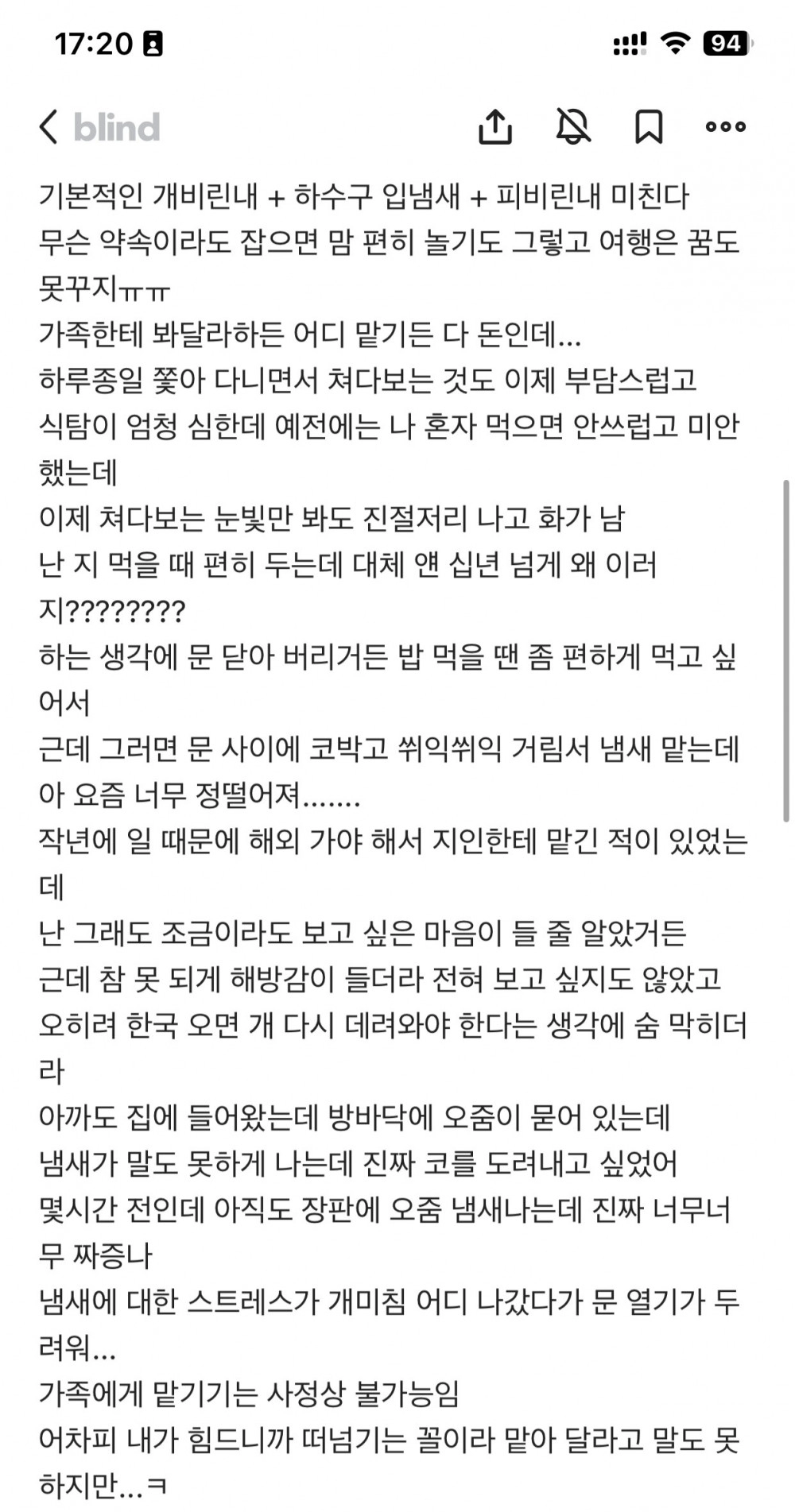 노견이 되니 정떨어진다는 블라인