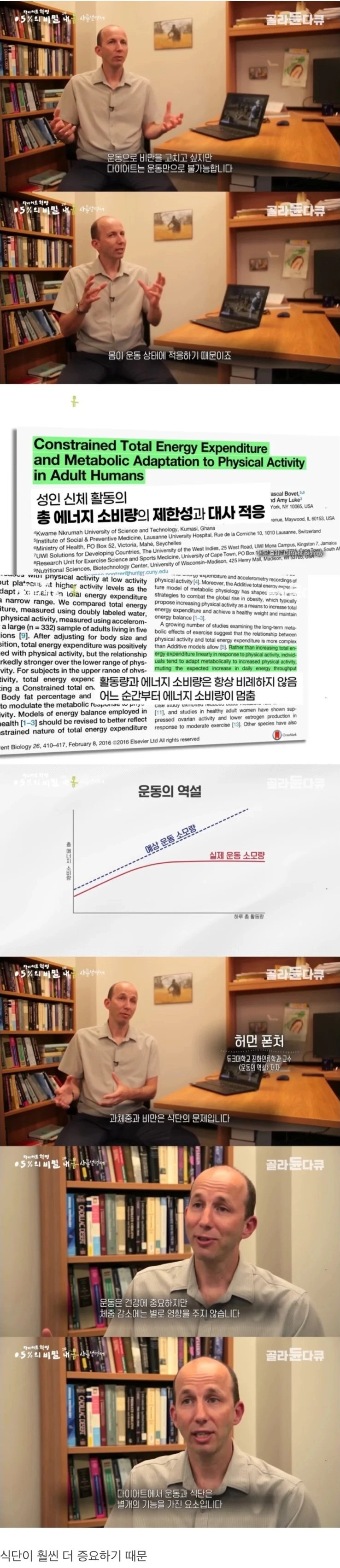 운동으로 살 빼기 ㅈㄴ 힘든 이유