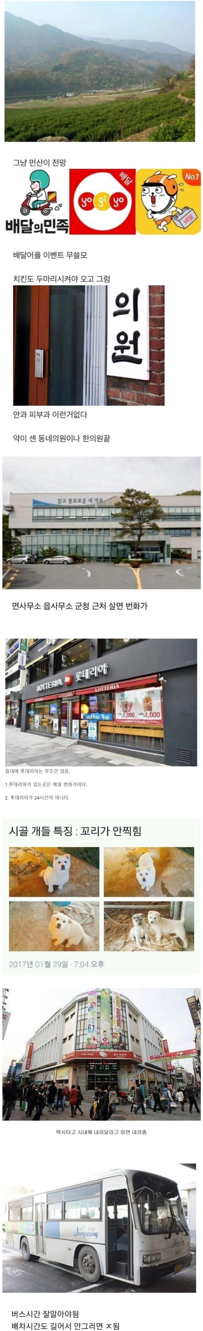진짜 시골 특징 ㄷㄷ
