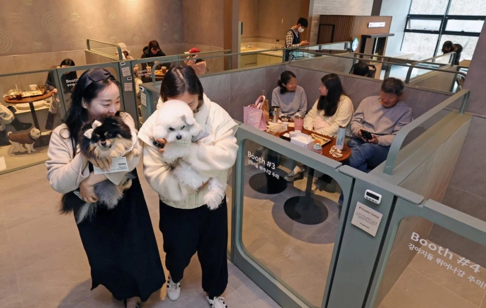 구리에 있다는 반려견 허용 스타벅스