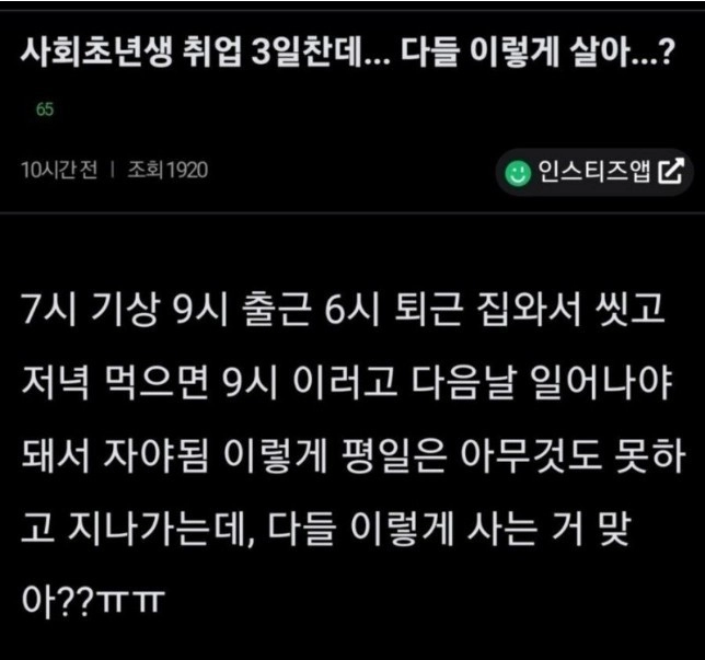 취업 3일차 9 to 6 라이프에 현타온 여자