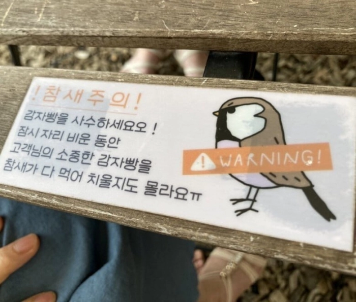 참새를 주의해야 하는 이유