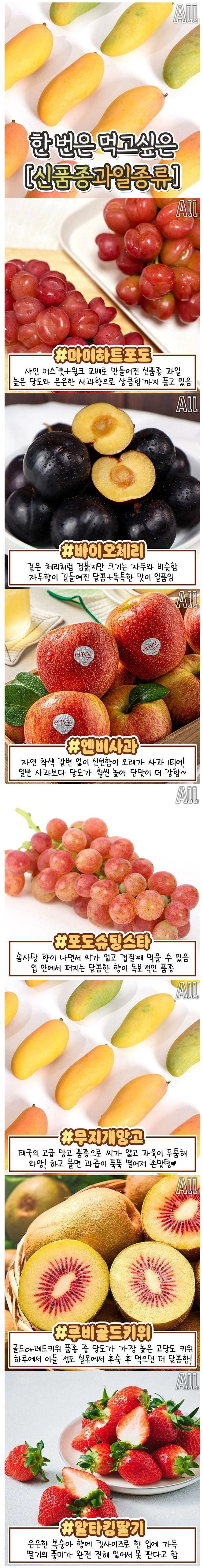 한 번은 먹고싶은 신품종 과일 종류