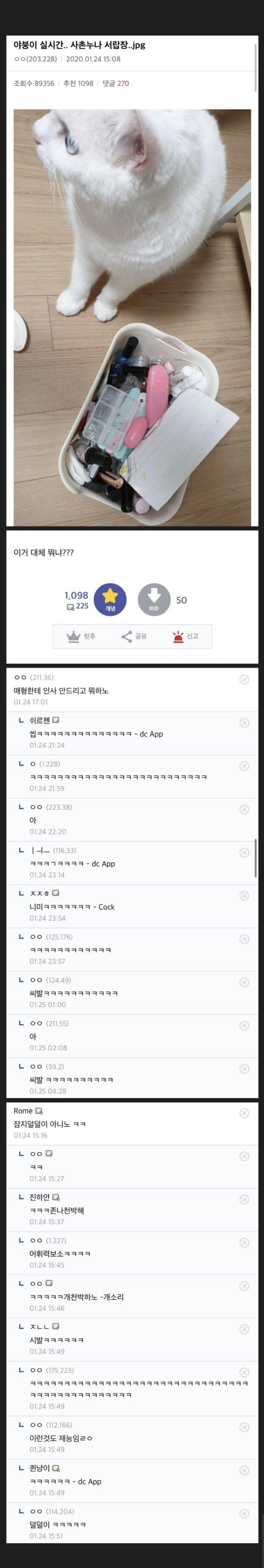 사촌 누나 서랍장 열어본 야붕이
