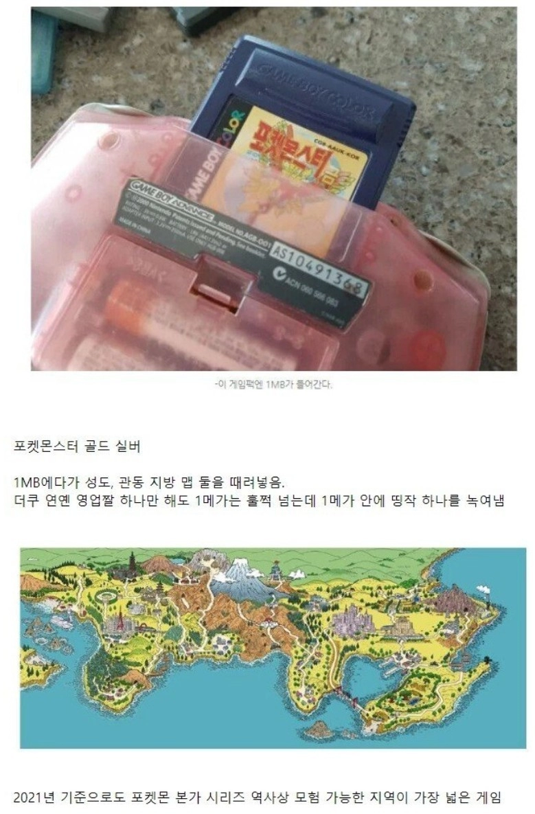 지금 생각해보면 말도 안되는 포켓몬 게임