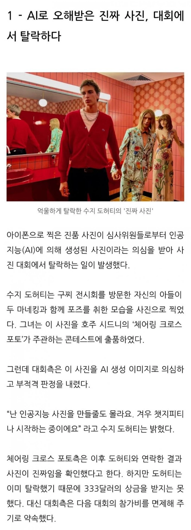 사진이 너무 AI같아서 대회에서 탈락한 사람