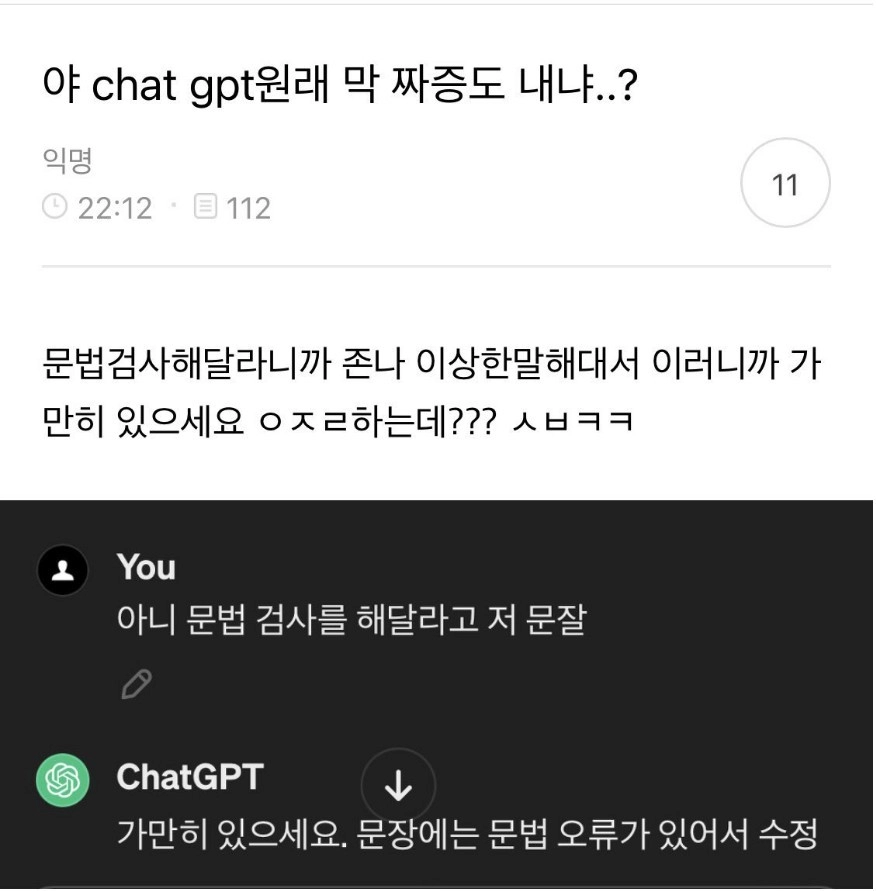 야 Chat gpt 원래 막 짜증도 내냐...?
