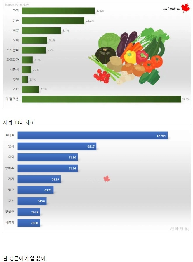 한국인이 극혐하는 채소 Best 8