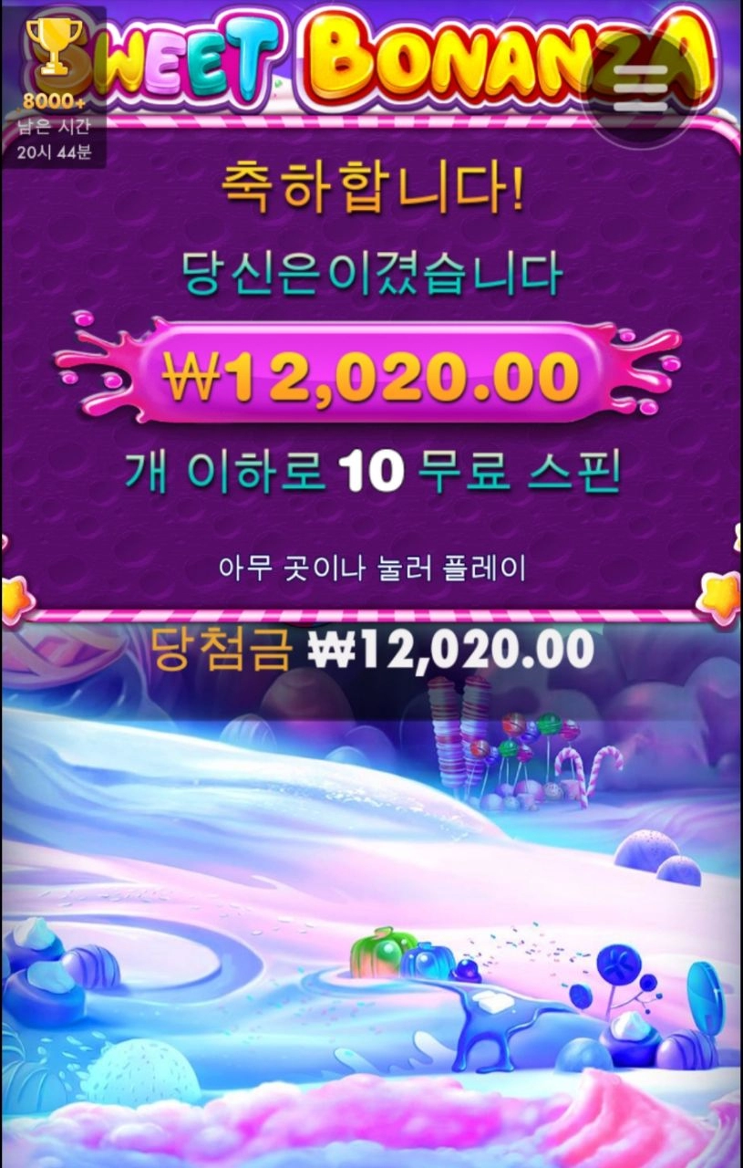 스위트 하지않는 보난자