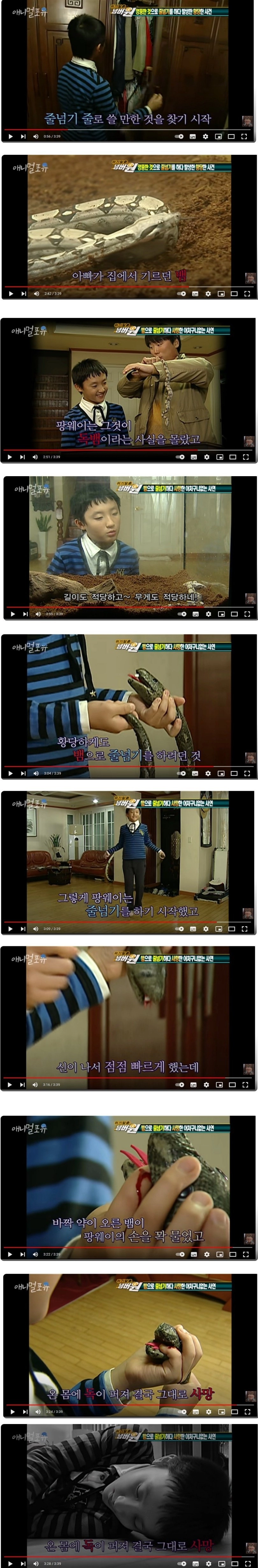 뱀으로 줄넘기 하다가 사망한 초등학생