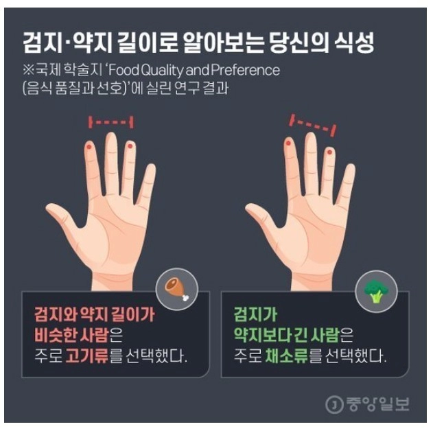 손가락 길이로 식성을 알 수 있음