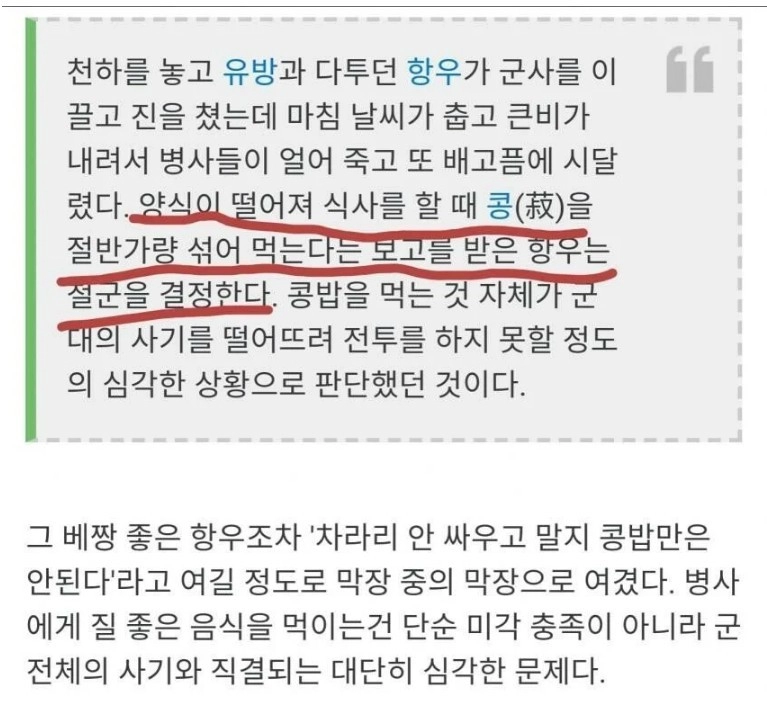 콩이 엄청난 음식인 이유