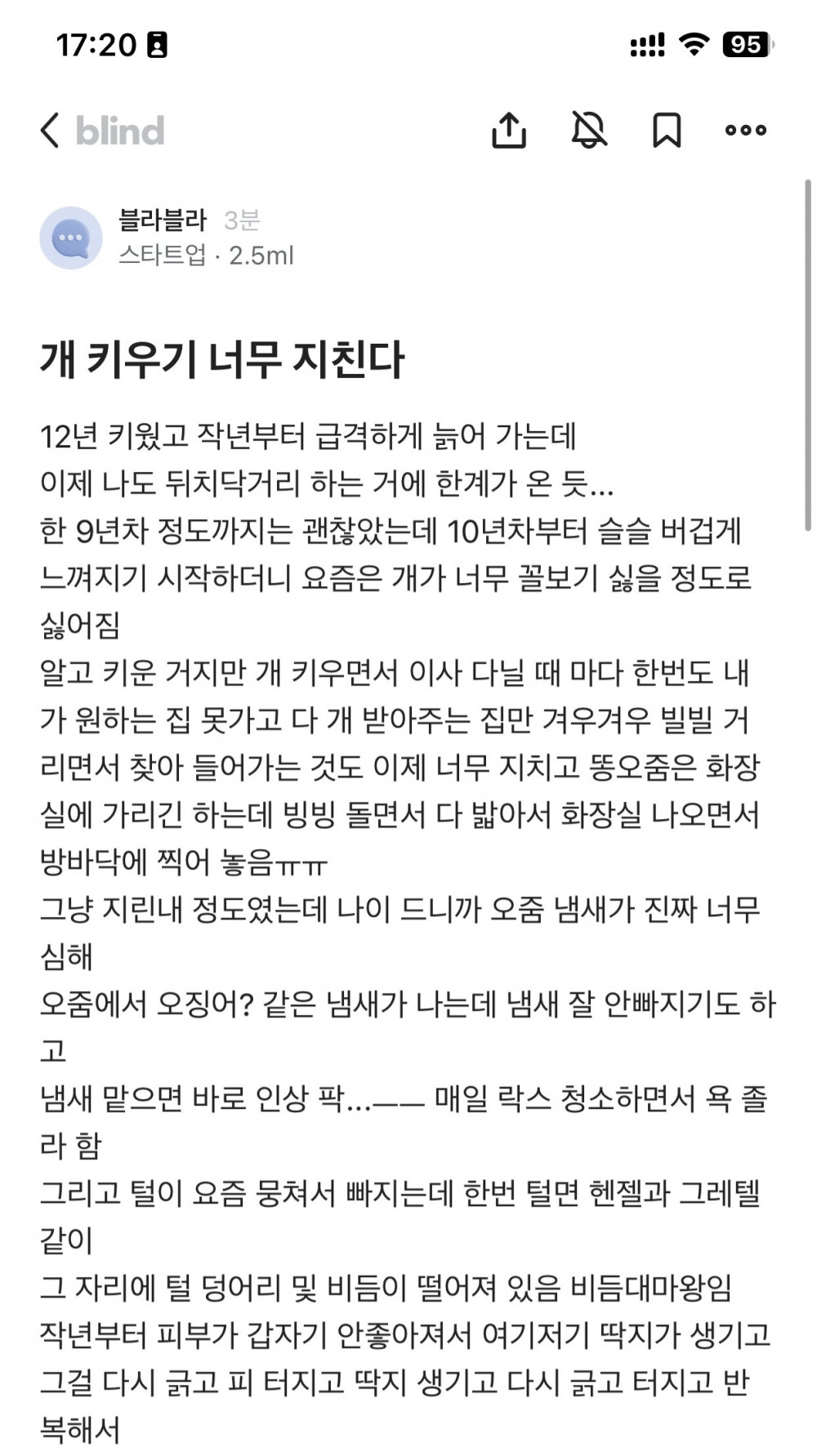 노견이 되니 정떨어진다는 블라인