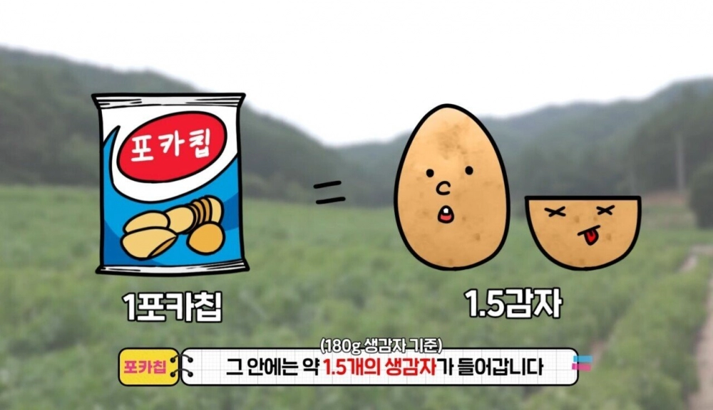 포카칩 양이 적은 이유