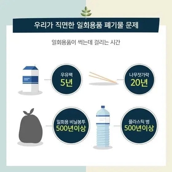 강릉 앞바다에서 아이가 건져온 충격적인 물건