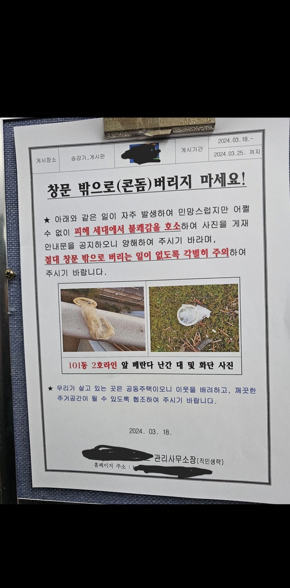 성(性)스러운 아파트