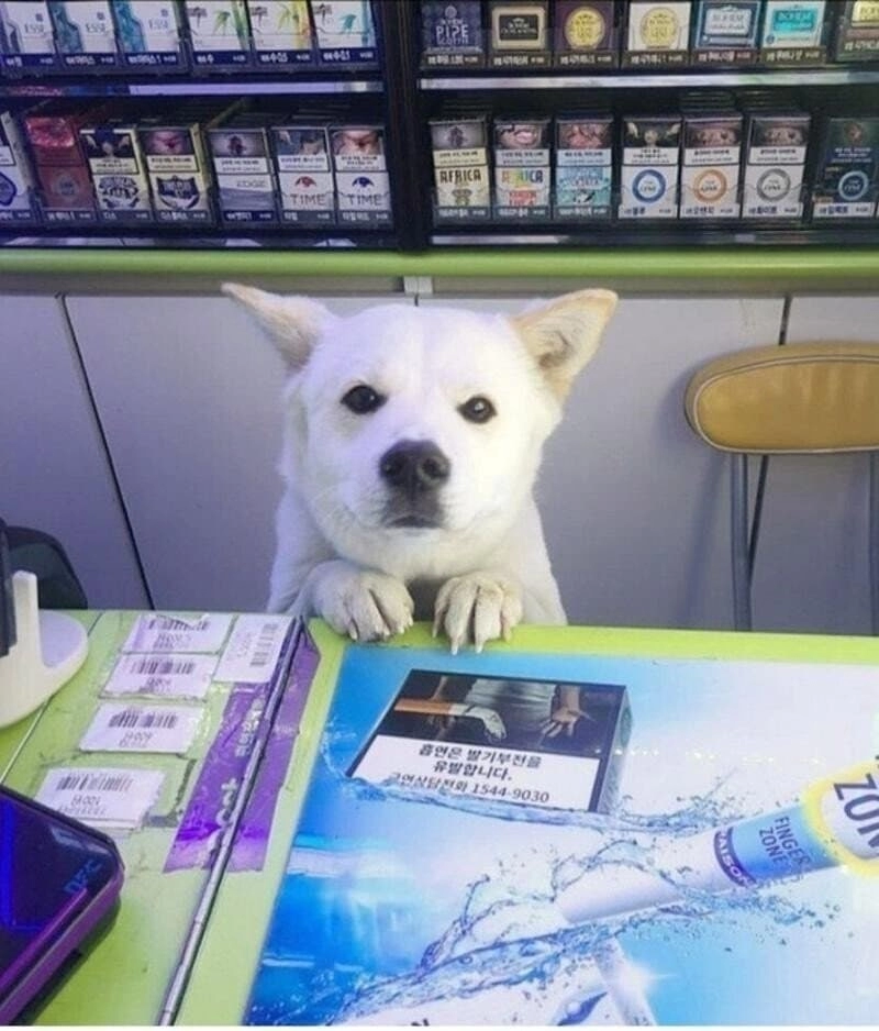 암캐가 되어버린 편의점직원