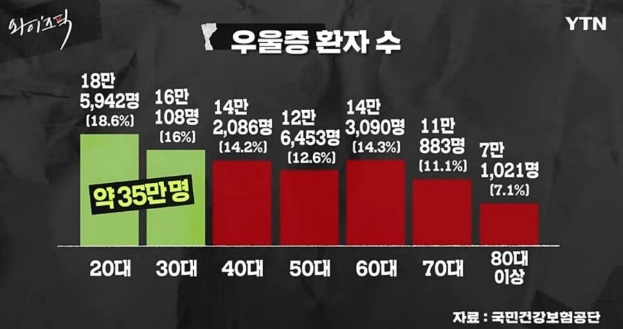 우울증 환자수가 가장 많은 나이대