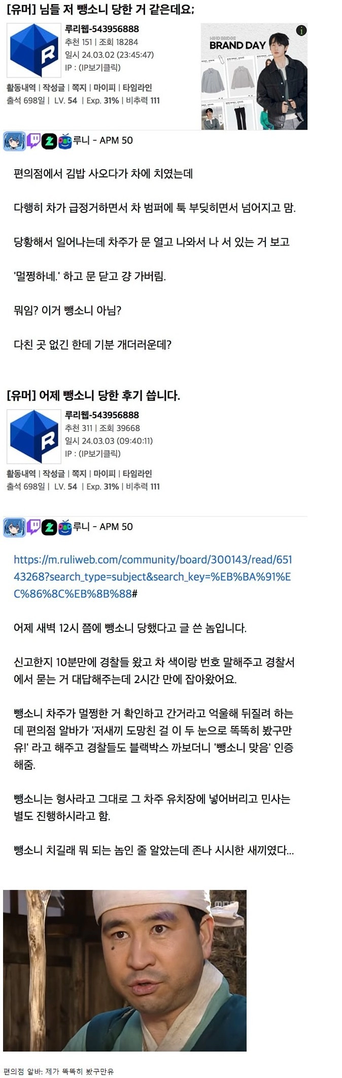 뺑소니 당했다는 루리웹 회원 후기