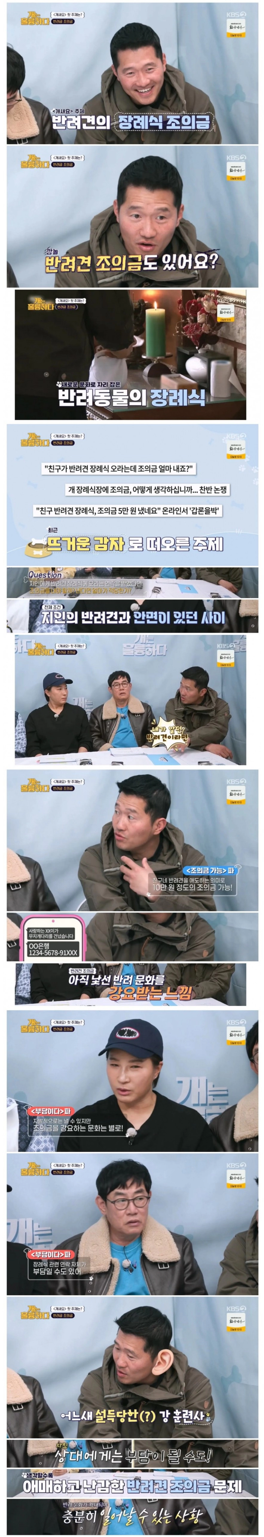 반려견 장례식 조의금 갑론을박