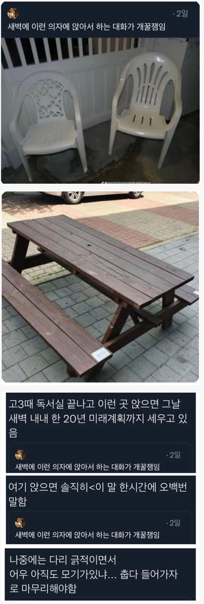 한국에만 있다는 진실의 의자