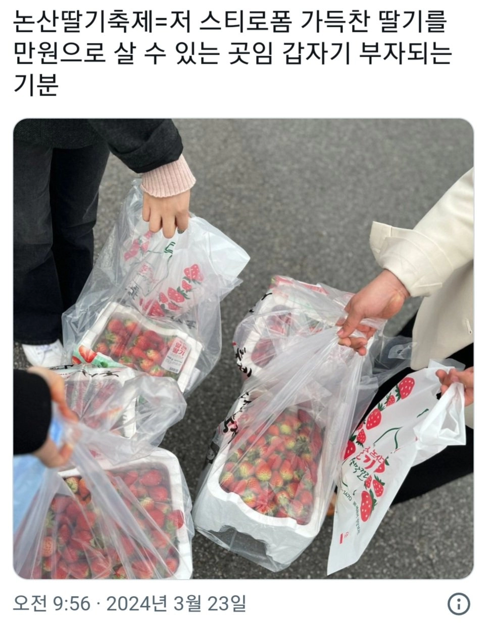 논산딸기축제 만원어치 딸기양