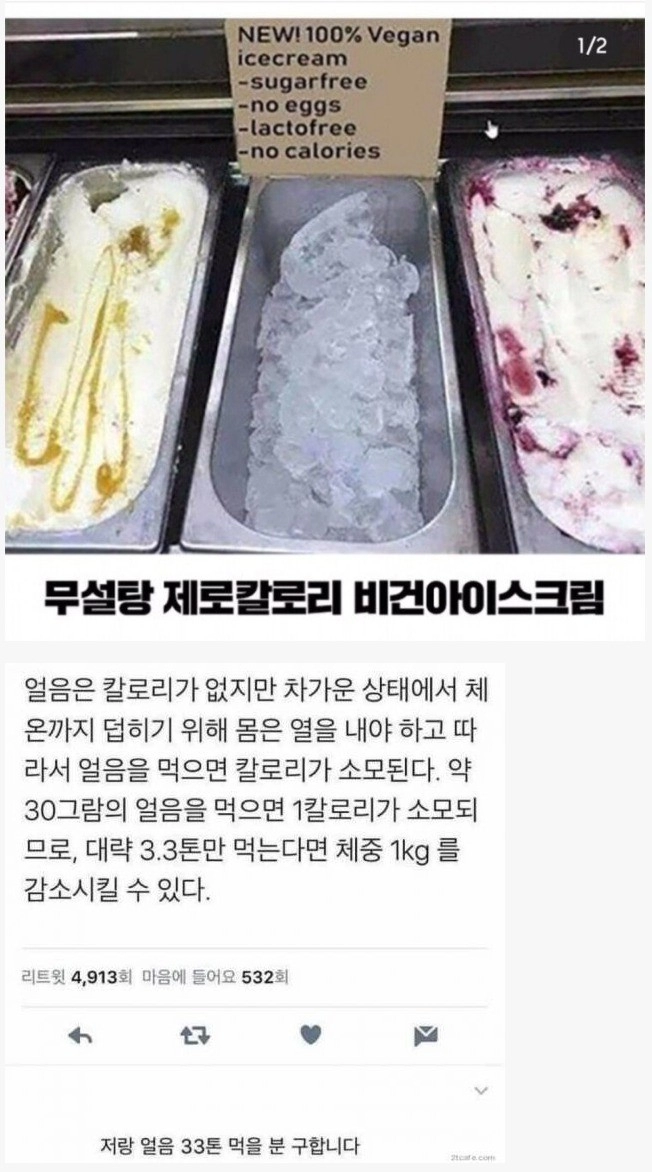 100% 무설탕 제로 칼로리 비건 아이스크림