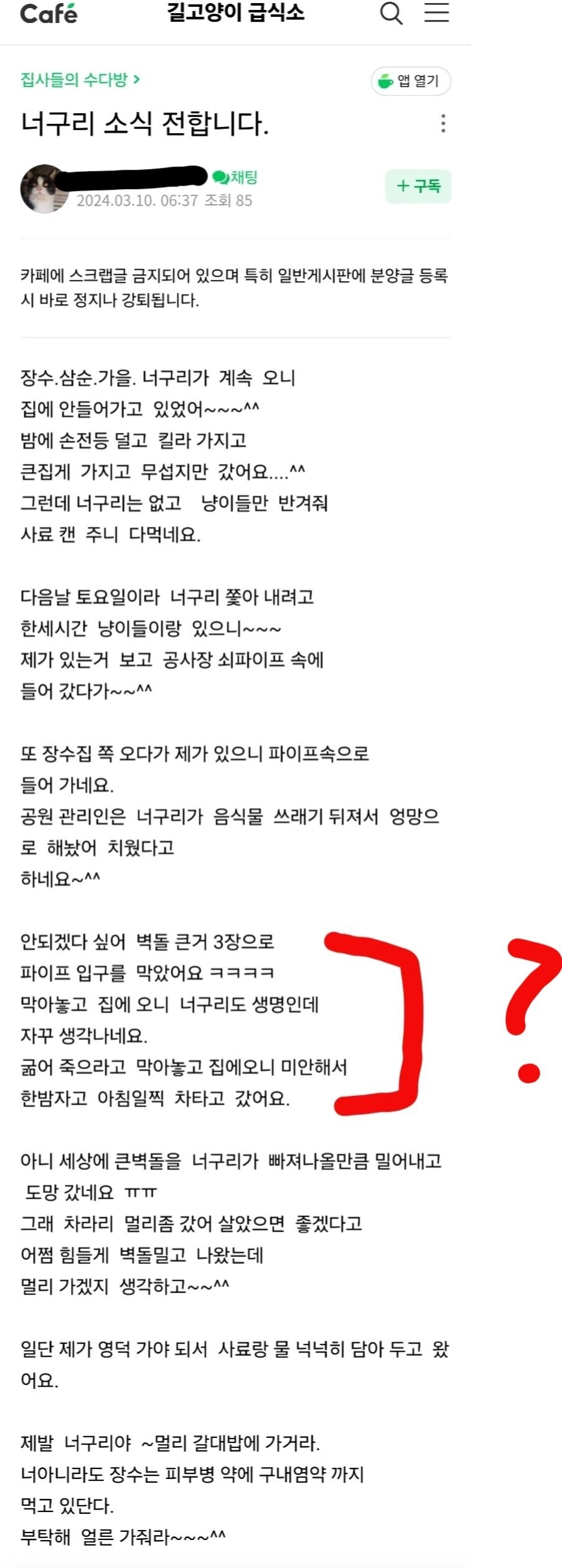 너구리를 파이프 안에 감금시킨 캣맘