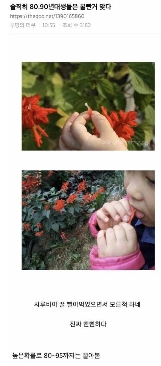 솔직히 80~90년생들은 꿀 빤 거 맞다