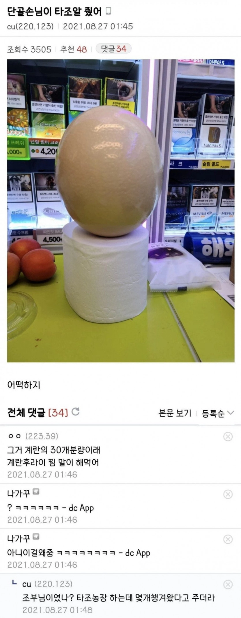 단골손님이 타조알 줬어 어떡하지