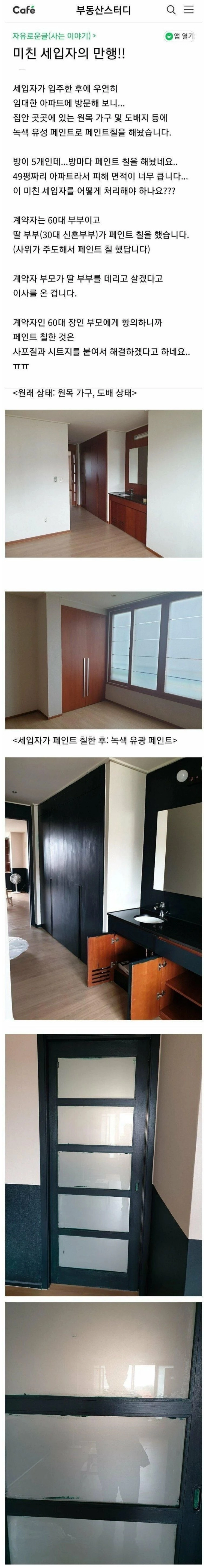 부동산카페 미친 세입자의 만행