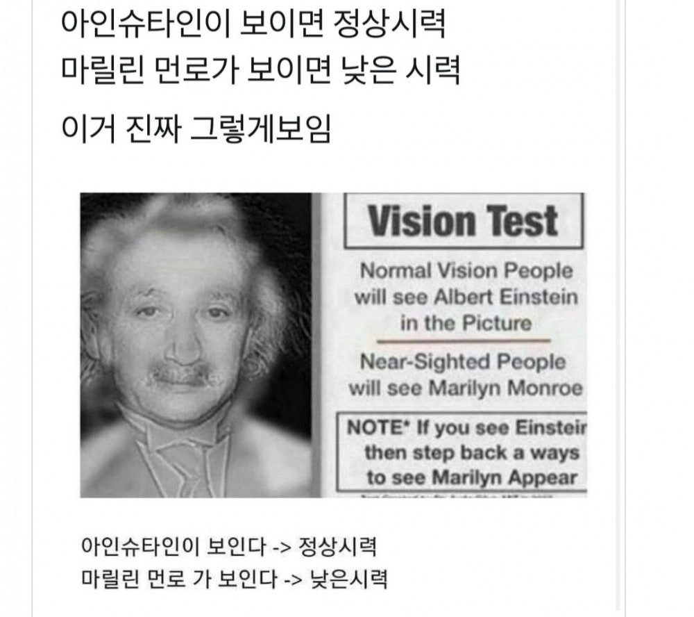 마릴린 먼로가 보이면 낮은시력
