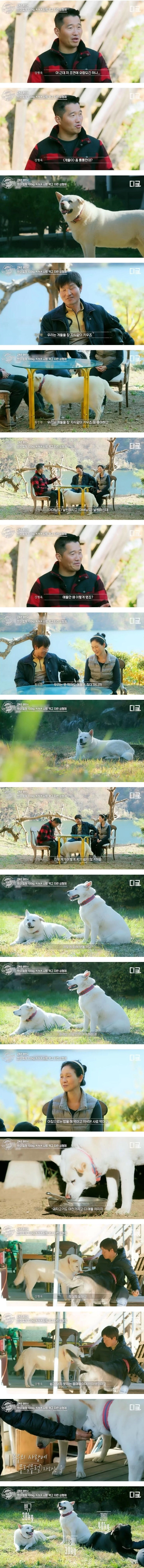 강형욱도 처음 본다는 쌉돼지 진돗개