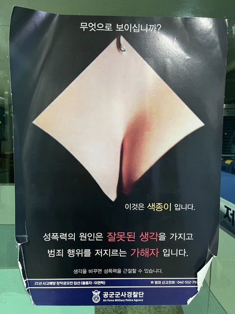 무엇으로 보이십니까?
