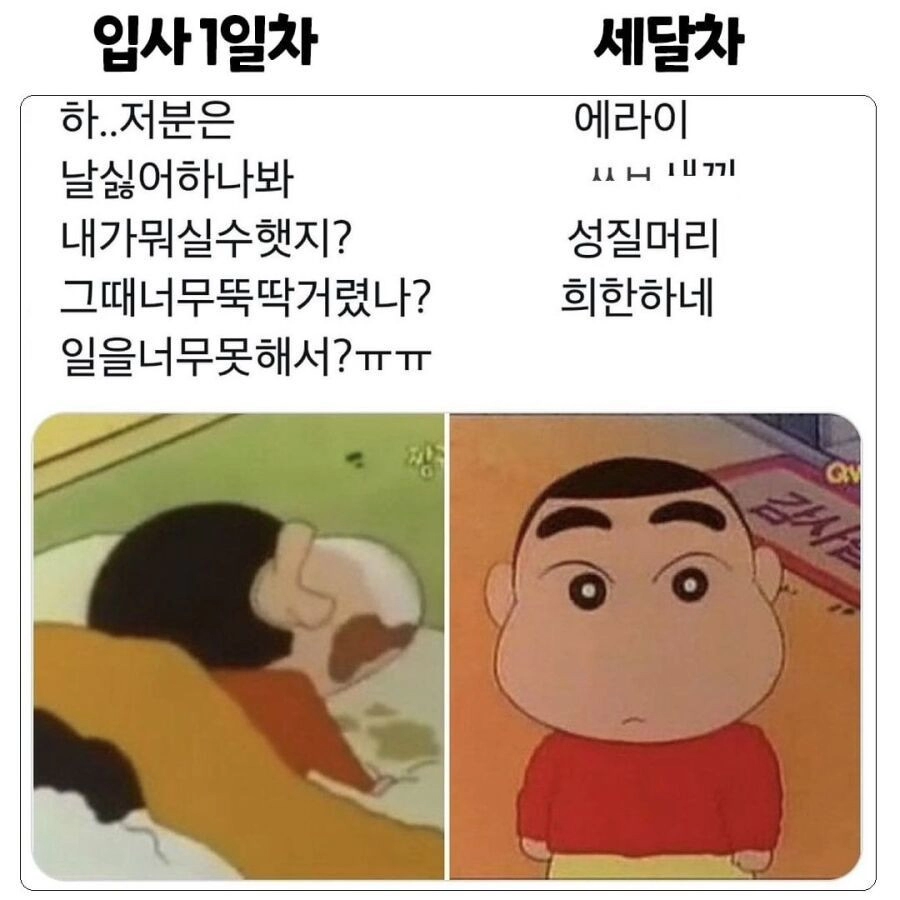 입사 1일차 vs 세달차