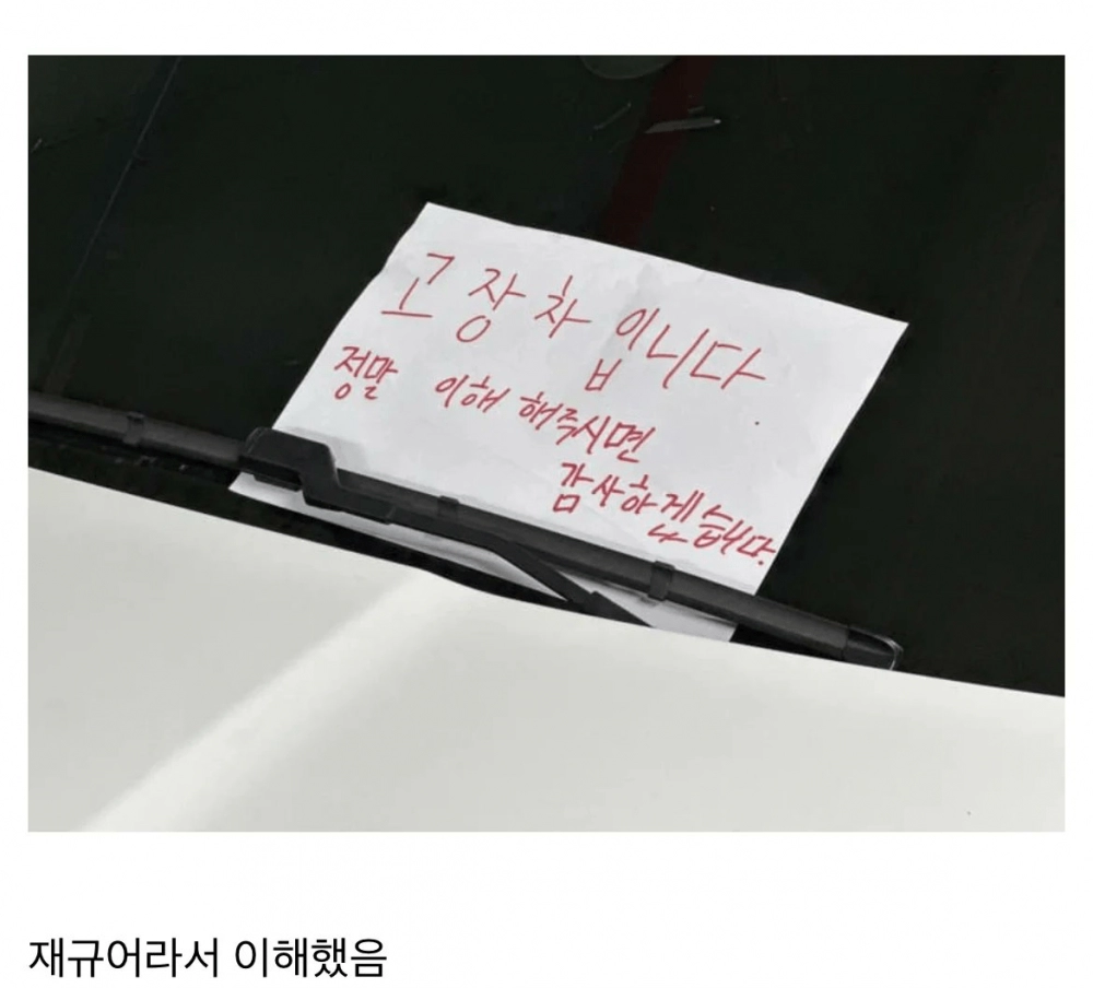 주차를 족같이 해도 이해한다는 차