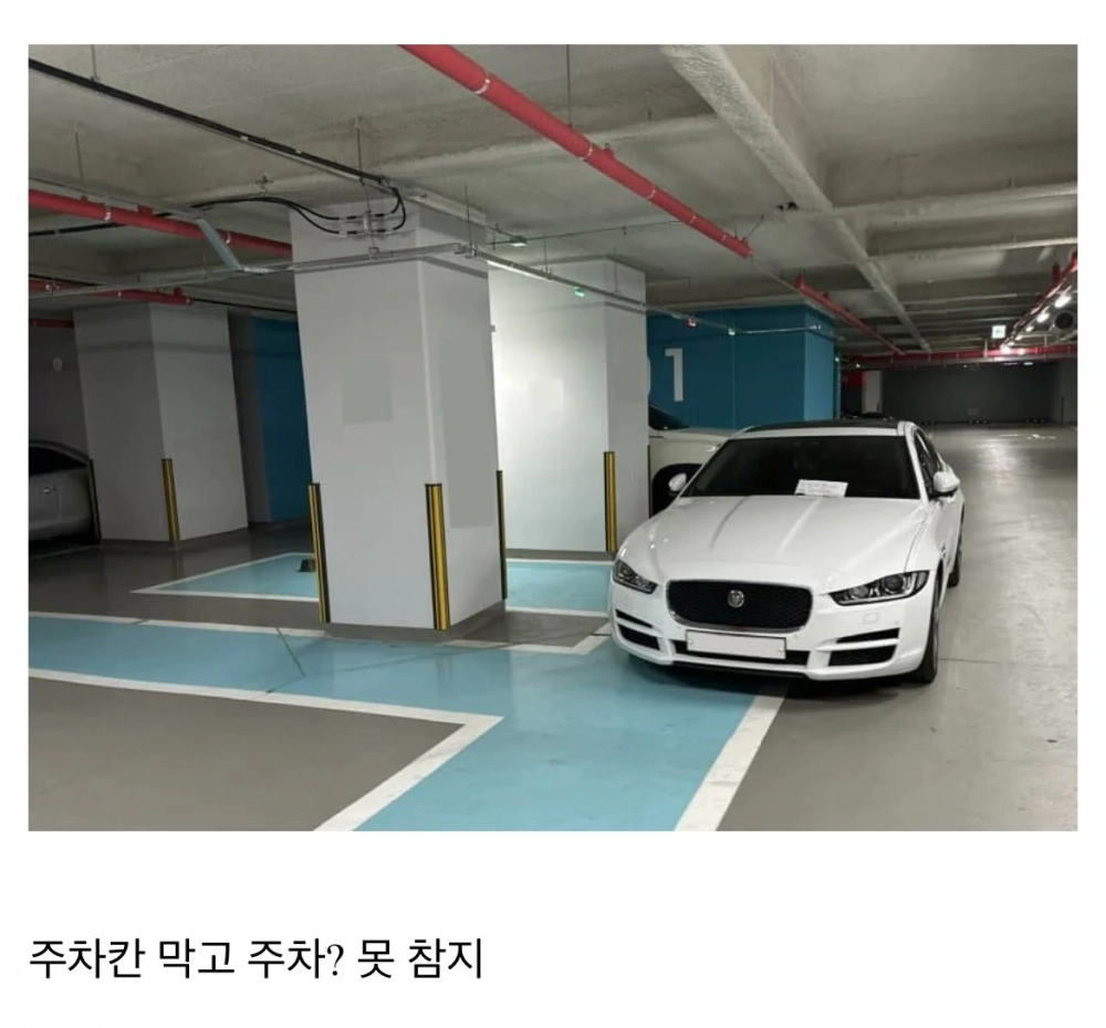 주차를 족같이 해도 이해한다는 차