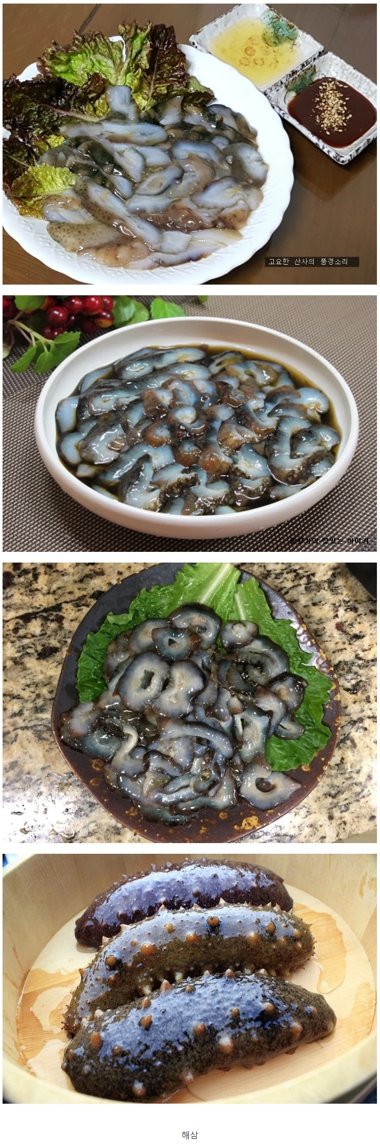 은근 호불호 갈리는 해산물