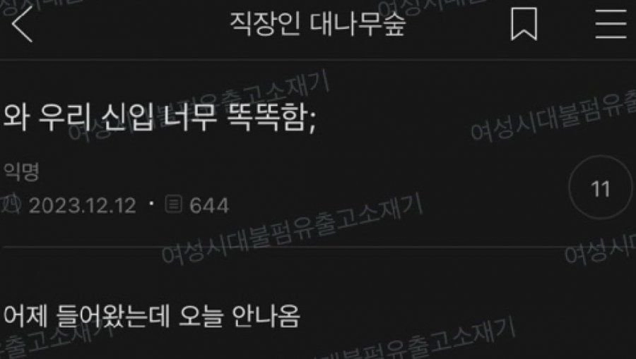 와 우리 회사 신입 너무 똑똑함