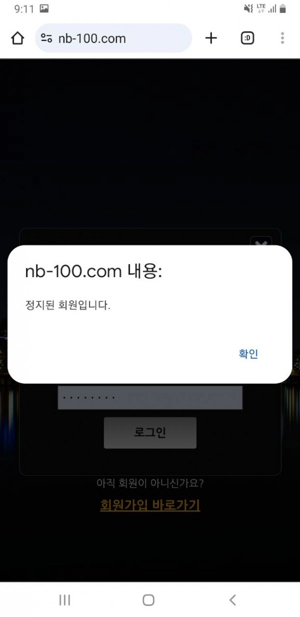 나이트벳 먹튀