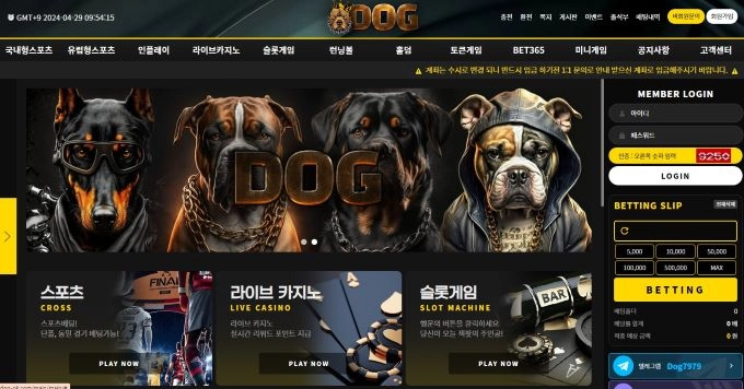 도그 먹튀